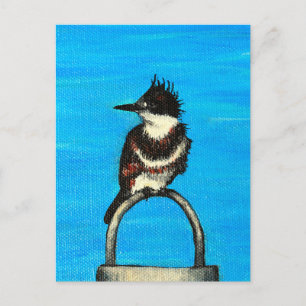 Belted Kingfisher schilderij Briefkaart