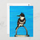 Belted Kingfisher schilderij Briefkaart (Voorkant / Achterkant)