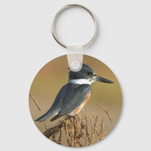 Belted Kingfisher Sleutelhanger
