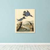 Belted Kingfisher uit Audubon's vogels in Amerika Canvas Afdruk (Insitu (Houten vloer))
