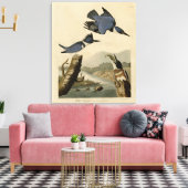 Belted Kingfisher uit Audubon's vogels in Amerika Canvas Afdruk (Insitu (Woonkamer))