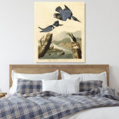 Belted Kingfisher uit Audubon's vogels in Amerika Canvas Afdruk (Insitu (Slaapkamer))