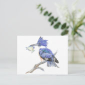 Belted Kingfisher, Vogel, Natuur, Wildlife, Briefkaart (Staand voorkant)