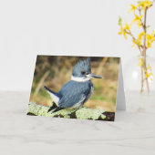 Belted Kingfisher Wenskaart Kaart (Gele Bloem)