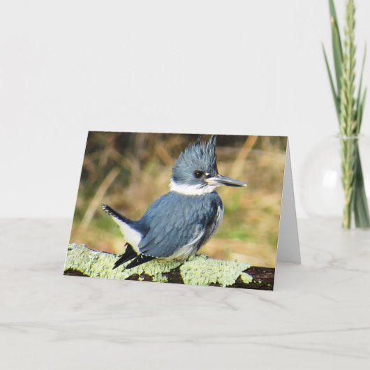 Belted Kingfisher Wenskaart Kaart (Voorkant)