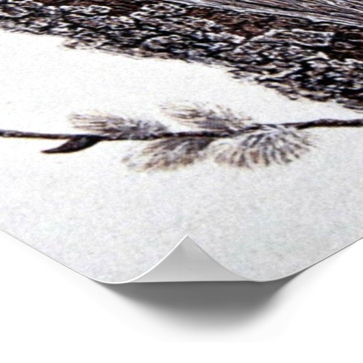 Beltende ijsvis (vrouw) poster (Hoek)