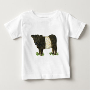 "Beltie" Belted Galloway