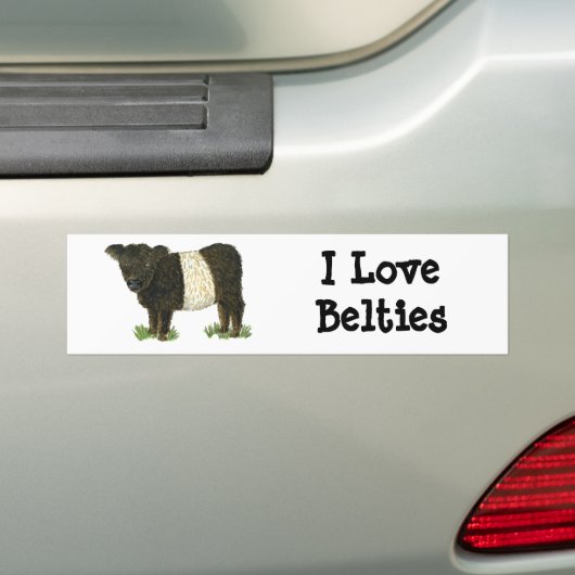 "Beltie" Belted Galloway Bumpersticker (Op auto)