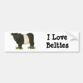 "Beltie" Belted Galloway Bumpersticker (Voorkant)