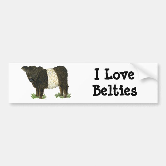 "Beltie" Belted Galloway Bumpersticker (Voorkant)