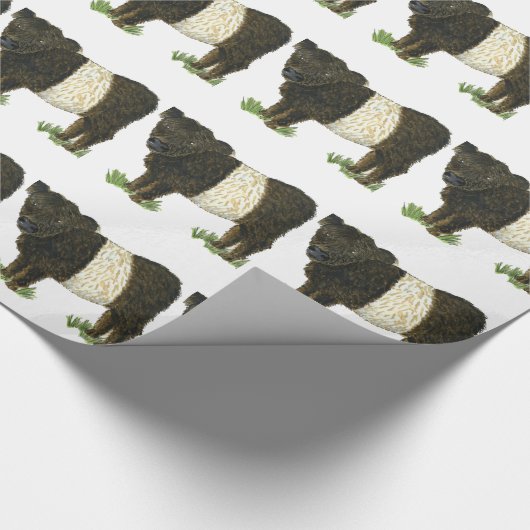 "Beltie" Belted Galloway Cadeaupapier (Hoek)
