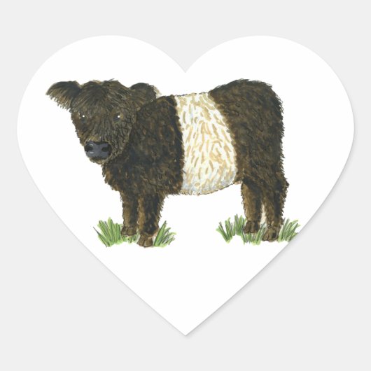 "Beltie" Belted Galloway Hart Sticker (Voorkant)