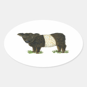"Beltie" Belted Galloway Ovale Sticker