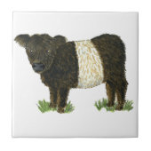 "Beltie" Belted Galloway Tegeltje (Voorkant)