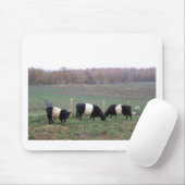 Beltie Cow Herd in Herfst Muismat (Met muis)