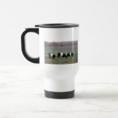 Beltie Cow Herd in Herfst Reisbeker (Links)
