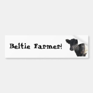 Beltie Farmer Galloway Cow Steer Bumpersticker