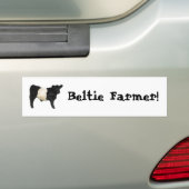 Beltie Farmer Galloway Koe Steer Bumpersticker (Op auto)