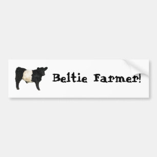 Beltie Farmer Galloway Koe Steer Bumpersticker