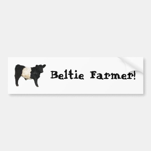 Beltie Farmer Galloway Koe Steer Bumpersticker (Voorkant)