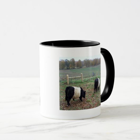 Beltie Koe Herd langs het spoor Mok (Voorkant rechts)