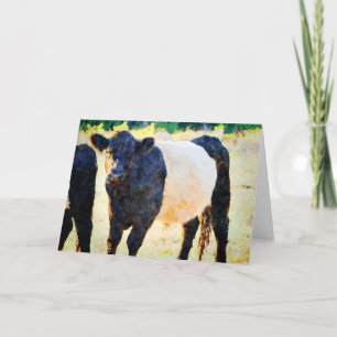 Beltie Koe Waterverf schilderen Belted Galloway Ar Kaart
