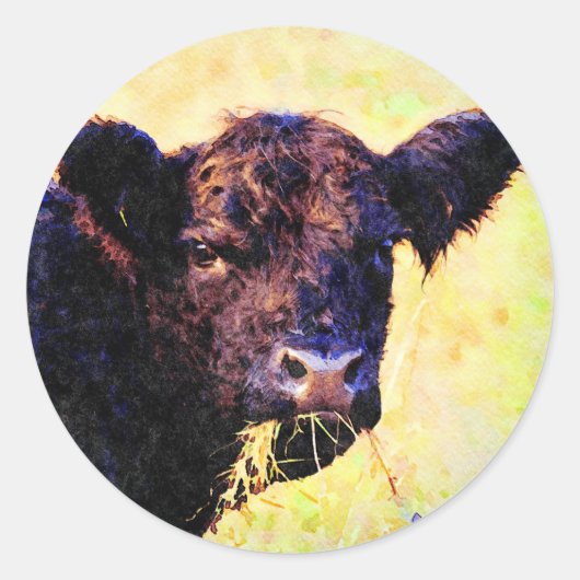 Beltie Koe Waterverf schilderen Belted Galloway Ar Ronde Sticker (Voorkant)