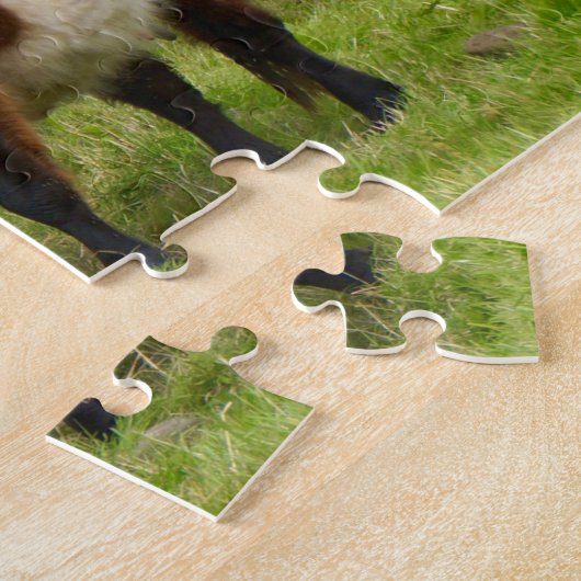 Beltie Puzzle Legpuzzel (Zijkant)