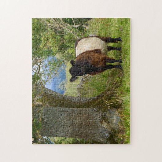 Beltie Puzzle Legpuzzel (Verticaal)