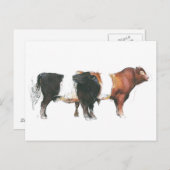 Belties 2006 briefkaart (Voorkant / Achterkant)