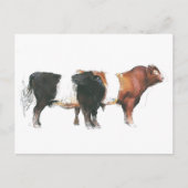 Belties 2006 briefkaart (Voorkant)