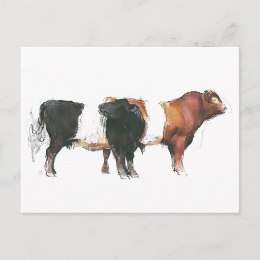 Belties 2006 briefkaart (Voorkant)