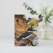 Beltvissen en hun nesttunnel briefkaart (Staand voorkant)