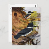 Beltvissen en hun nesttunnel briefkaart (Voorkant / Achterkant)