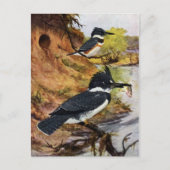 Beltvissen en hun nesttunnel briefkaart (Voorkant)