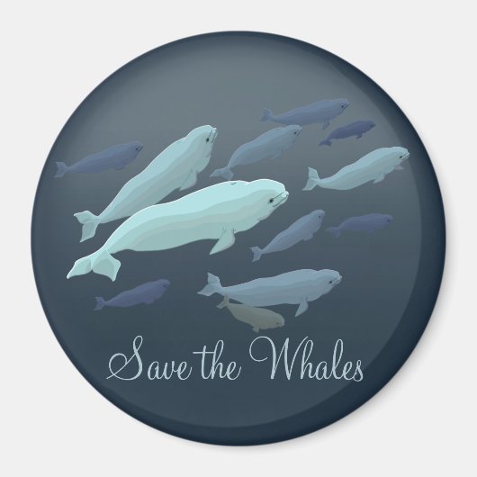 Beluga Fridge Magnet Custom Beluga Whale Magnet (Voorkant)