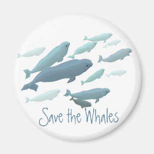 Beluga Fridge Magnet Custom Beluga Whale Magnet