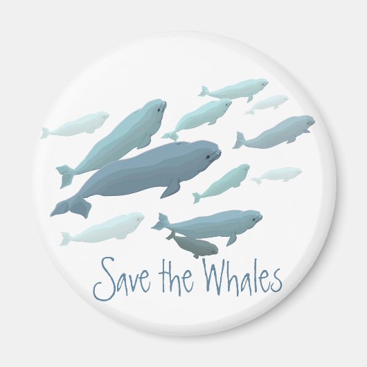 Beluga Fridge Magnet Custom Beluga Whale Magnet (Voorkant)