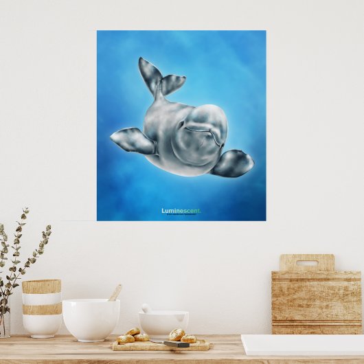 Beluga - Poster (Keuken)