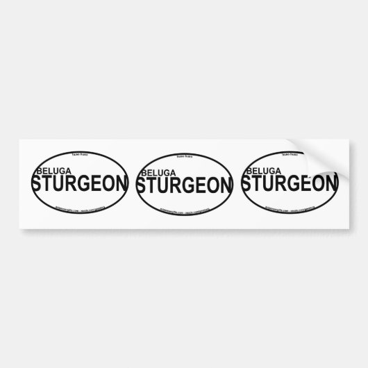 Beluga Sturgeon Euro Stickers (Voorkant)