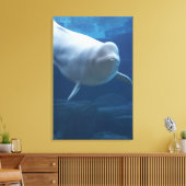 Beluga walvis (Delphinapterus leucas) Canvas Afdruk (Insitu (Woonkamer))