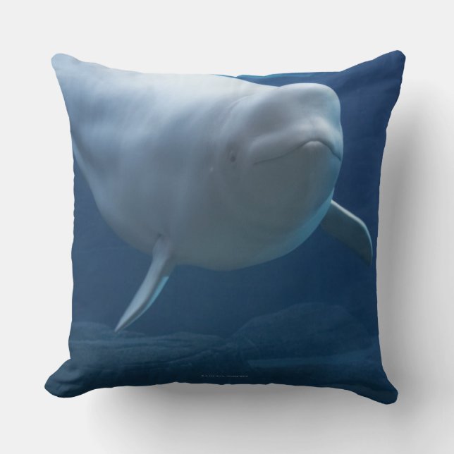 Beluga walvis (Delphinapterus leucas) Kussen (Voorkant)