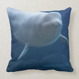 Beluga walvis (Delphinapterus leucas) Kussen