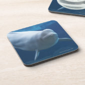 Beluga walvis (Delphinapterus leucas) Onderzetter (Linkerzijde)
