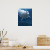 Beluga walvis (Delphinapterus leucas) Poster (Keuken)