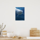 Beluga walvis (Delphinapterus leucas) Poster (Keuken)