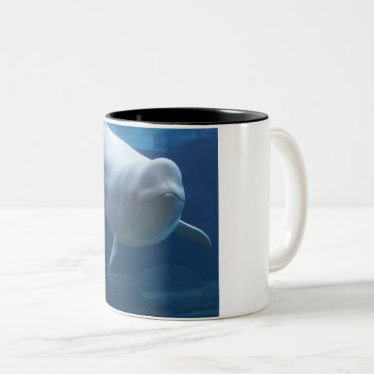 Beluga walvis (Delphinapterus leucas) Tweekleurige Koffiemok (Voorkant rechts)