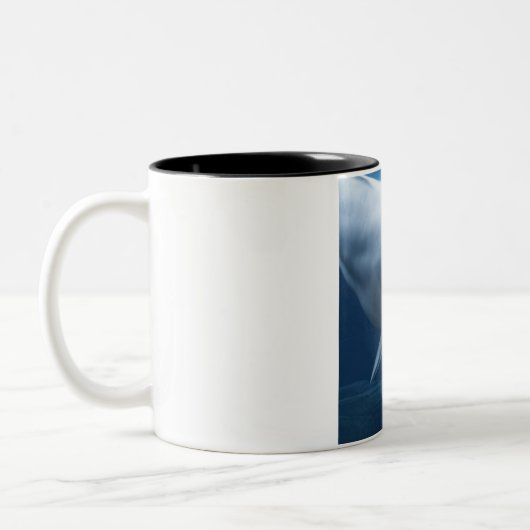 Beluga walvis (Delphinapterus leucas) Tweekleurige Koffiemok (Links)