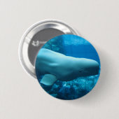 Beluga-walvis in aquarium in Georgia Ronde Button 5,7 Cm (Voorkant /achterkant)