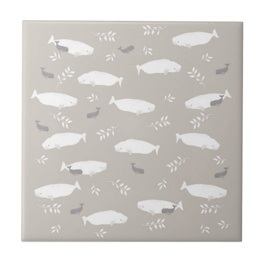 Beluga-walvis op afbeelding van pasteelgrijs tegeltje (Voorkant)